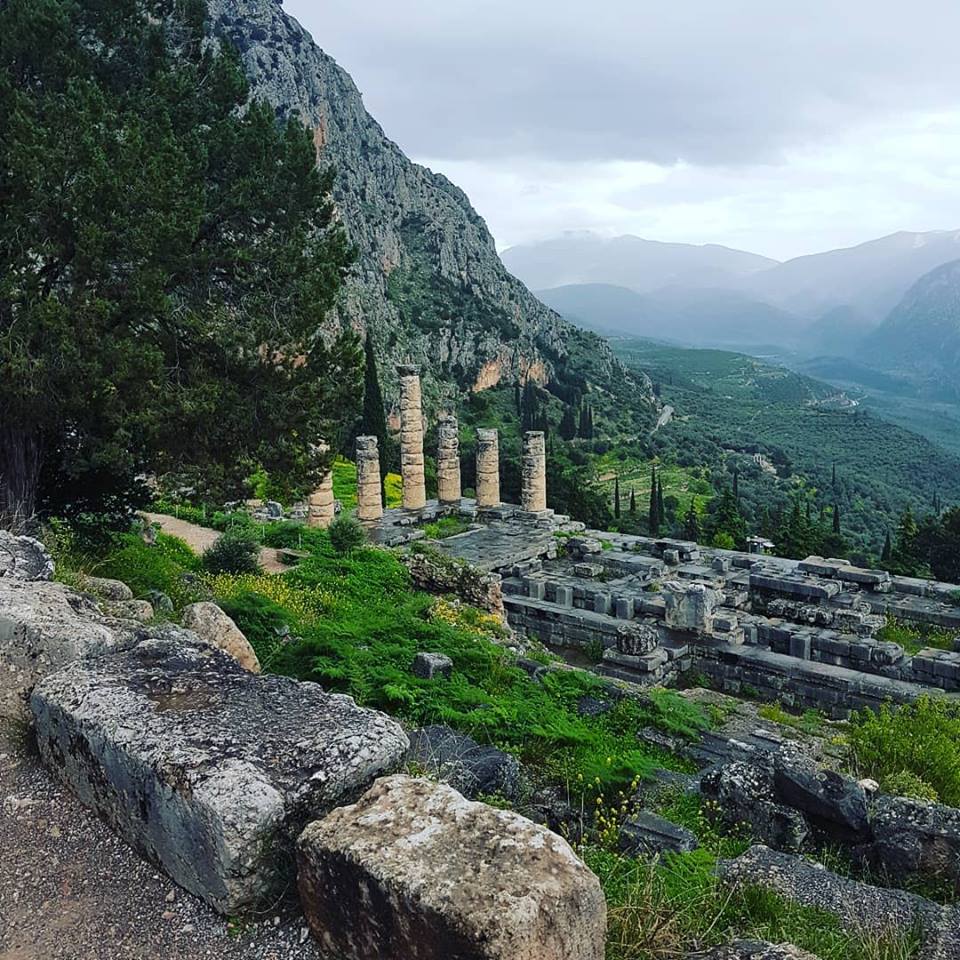 7. Delphi